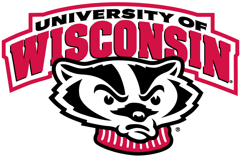 Wisconsin Badgers 2002-Pres Alternate Logo diy iron on heat transfer...